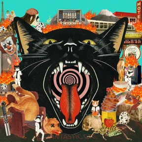 Fantastic Cat