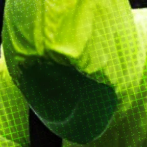 1x333 photo