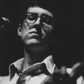 The American Analog Set photo