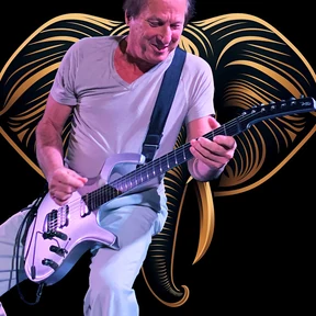 Adrian Belew photo