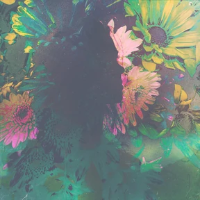 Slowform photo